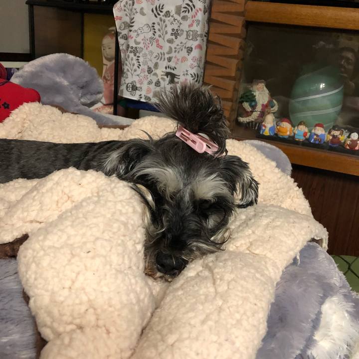 A5f2d7d5 d0b3 4dcf b00b 6985b02822ac 1621608778884