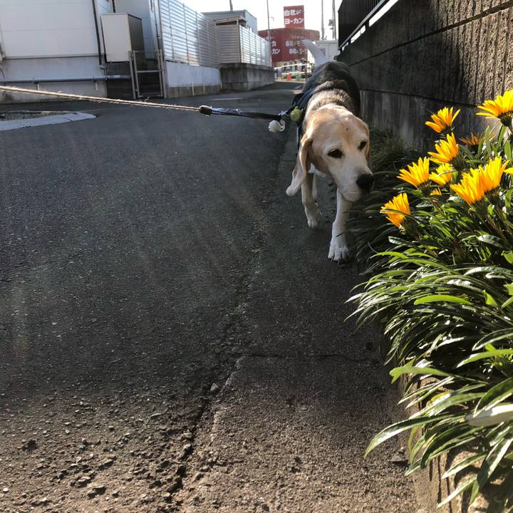 A5f3255f e0d9 45a4 b935 ace991e2ddc8 1576584129323