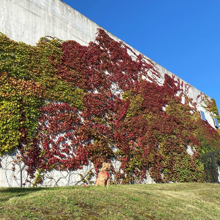 A5f32f3c 8f2d 4802 b0e8 efc00e2fd9eb 1664059714276