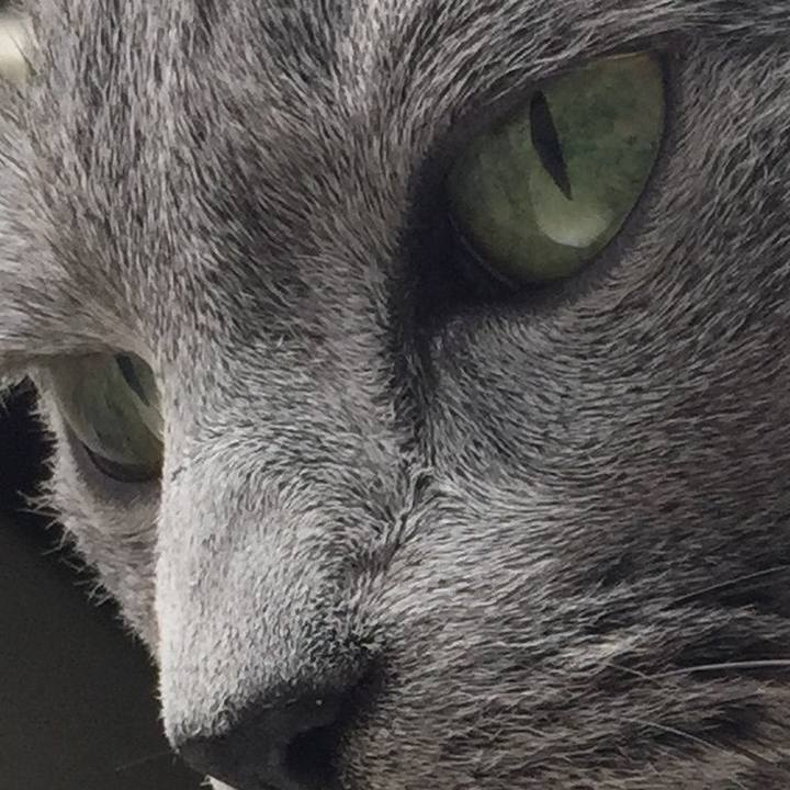 A5f34de1 95ea 4896 84ad 2d45060382e1 1558187698143