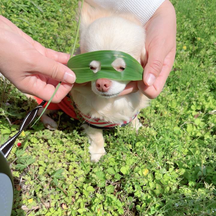 A5f392dd dc7e 477f 8e25 0e89ebf79f87 1745717879125