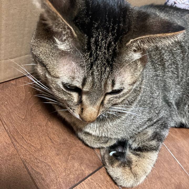 A5f393f6 1d1f 4fd6 84b2 ad98967681ee 1768520967312