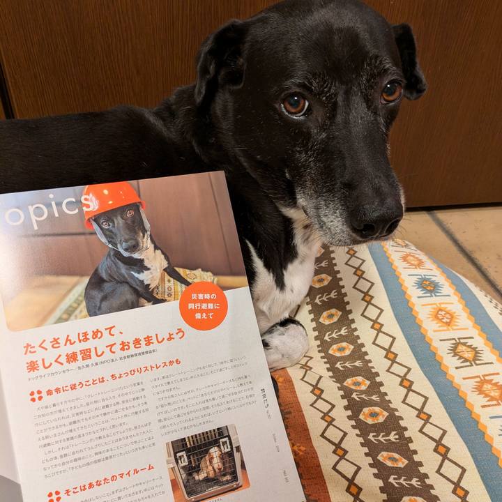 A5f3ba90 61b5 4674 9d98 a4efaa0e143b 1727176514420