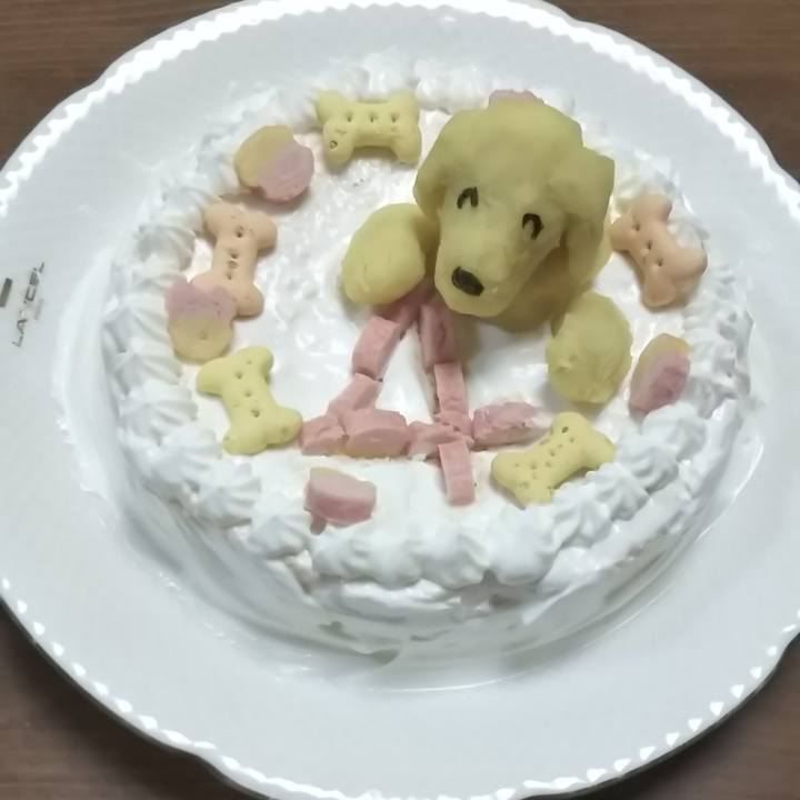 A5f4101f 23bd 4340 a0ff bb222a4dd682 1523877928645