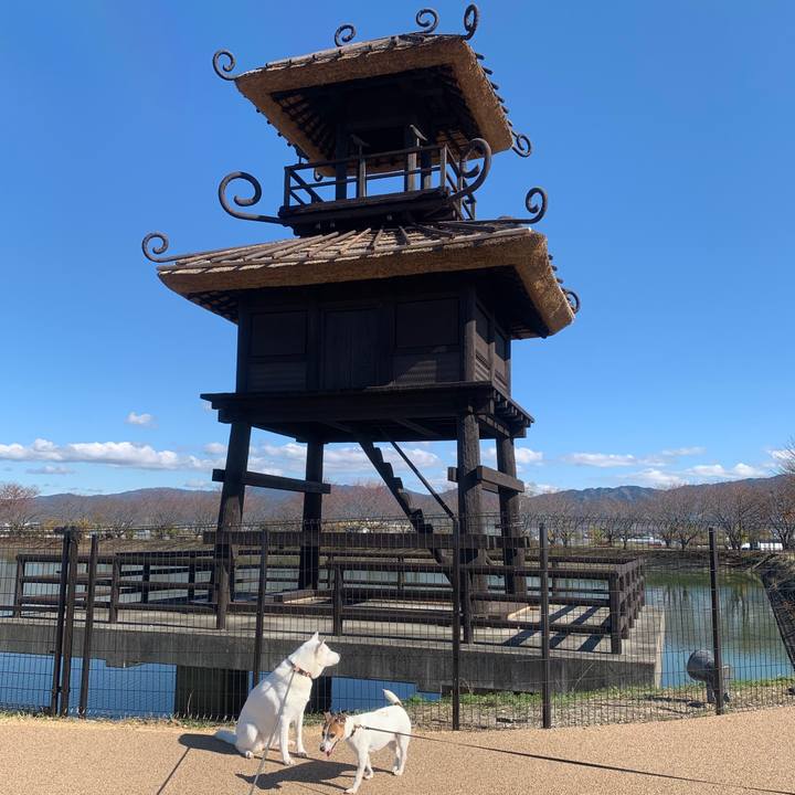 A5f419de 6aaa 452a a19f 64c7dfc02922 1543057200763