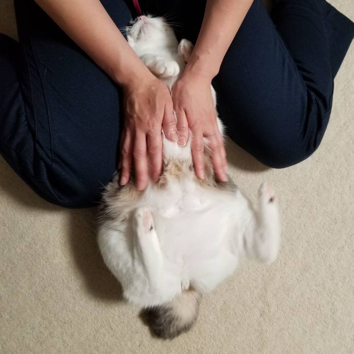 A5f47d5d cb69 471d a7a2 557e38139b5e 1620127324491