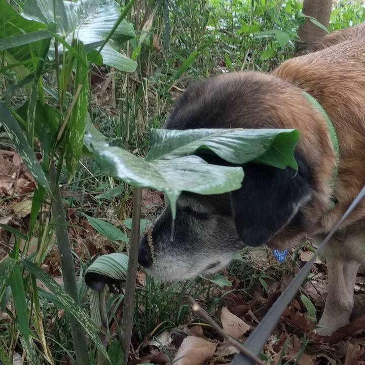 A5f48d31 698b 4280 9526 4d355169b57d 1523491187493