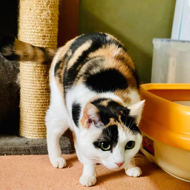 A5f490f9 88a8 4489 855c 01648e859d47 1611196122050