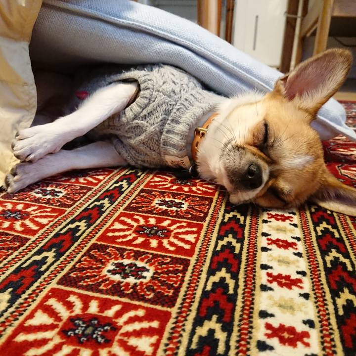 A5f4c477 4cb9 4794 97a8 cffc761b456a 1546759743095