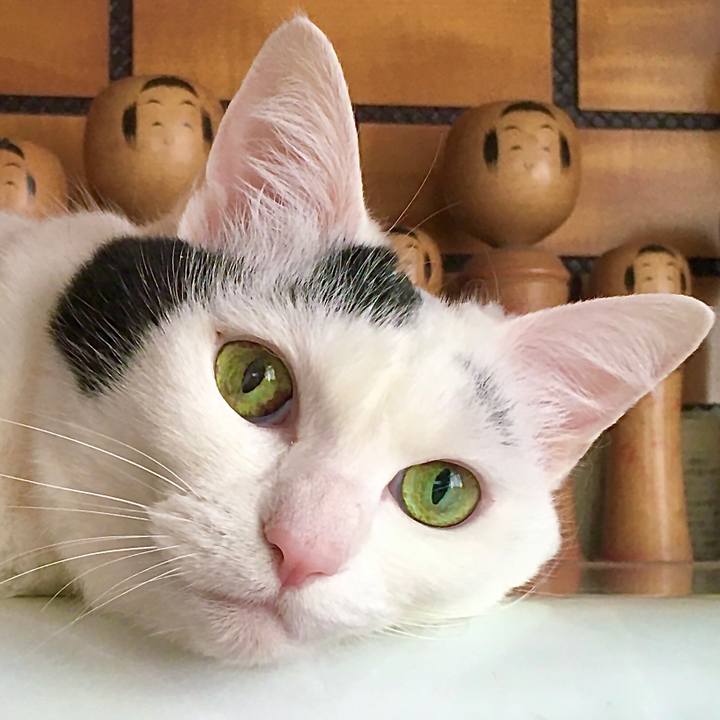 A5f51ae1 ba14 4144 9300 bbf5748612f1 1590996189720