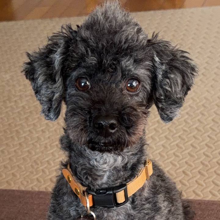 A5f52efa 9a20 4bd1 bbf9 6842b0eaf967 1767074280960