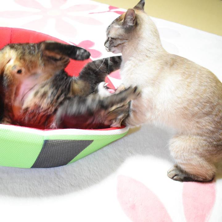 A5f53158 bc22 4986 980e fd7598f8fa83 1559643808733