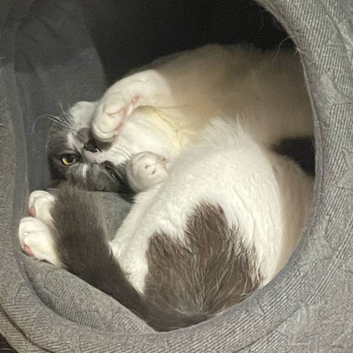 A5f54537 8c4d 4589 a59a 6d943c885102 1664883242545