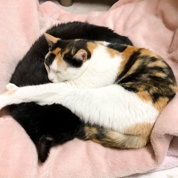 A5f546dd 438d 443f 83d7 1d3c1cadcee0 1527086591131