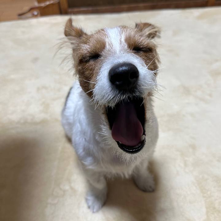 A5f55371 168e 48de ad06 a91967aff692 1763071759977