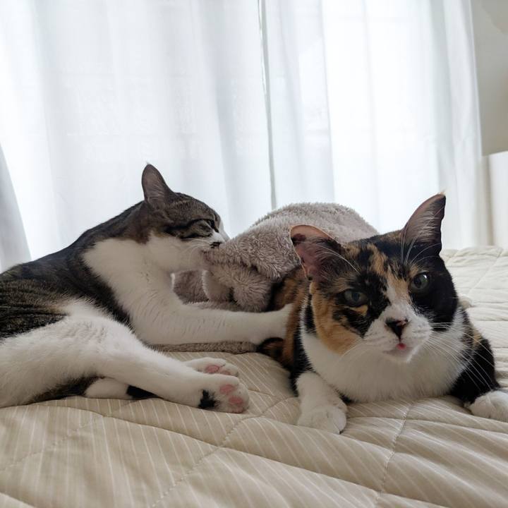 A5f567da 5212 450e b84d 58dcd57042a3 1761377834857