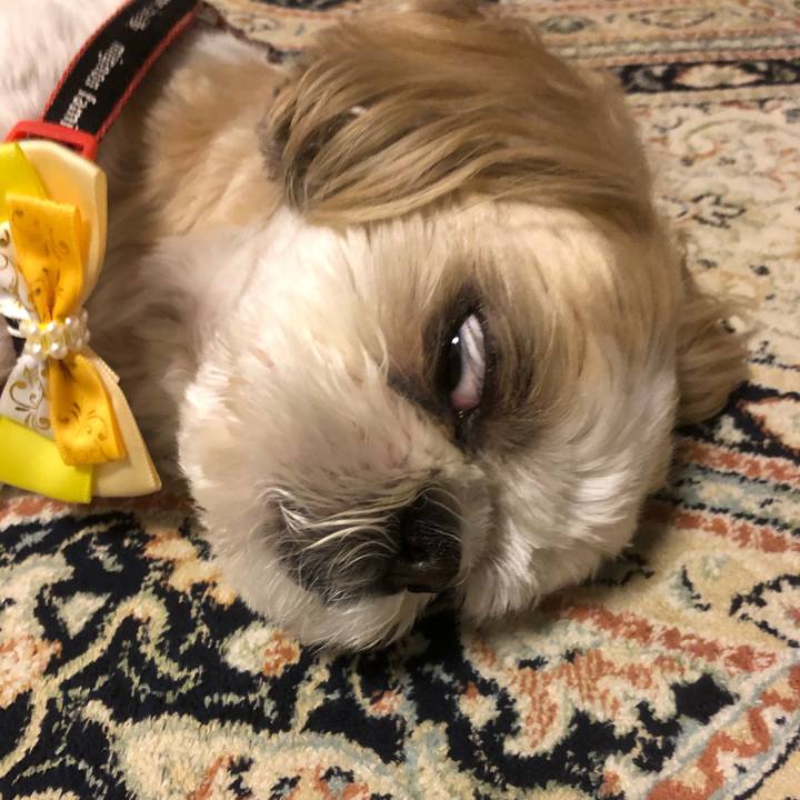 A5f58405 7ec8 4b9f 89e1 ed81499176a6 1622670591669