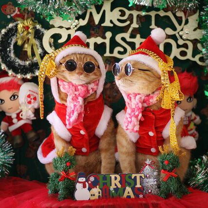 A5f60850 b02d 47f1 af18 104c07311d36 1545543877430