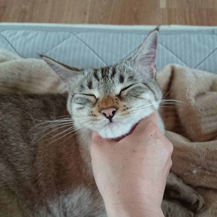 A5f6244d 1e08 4b55 a371 e16d4a9e1935 1529206610307