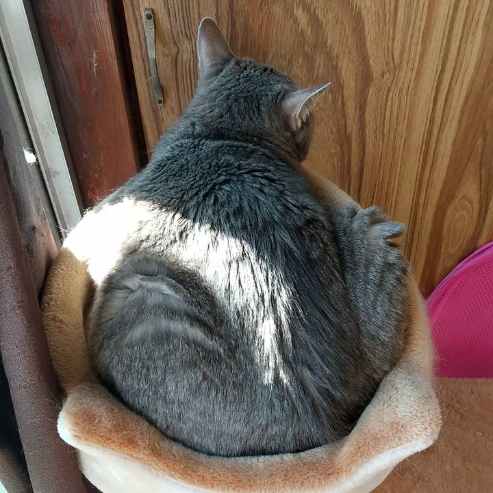 A5f66efb 465a 449c 9561 25dcb4989db6 1605410256923