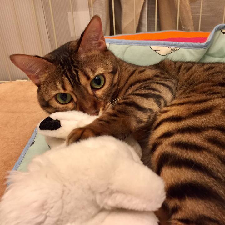 A5f6831b 7198 4869 b6f3 d77649f43528 1535493032189