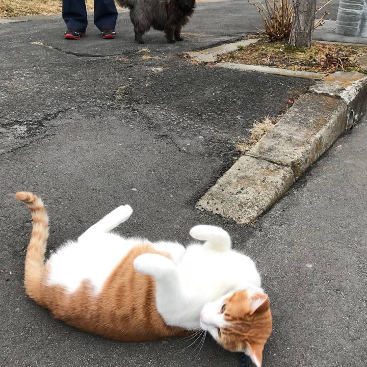 A5f6a7b5 705e 495d bc80 7c8ecfba002d 1516602505015