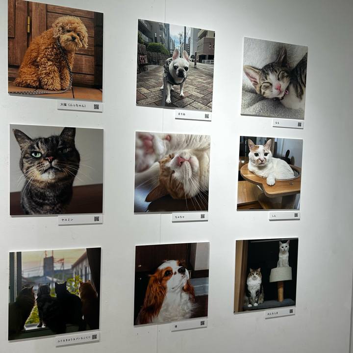 A5f6bf90 9550 4538 9c5f 4245c8370355 1762060389766