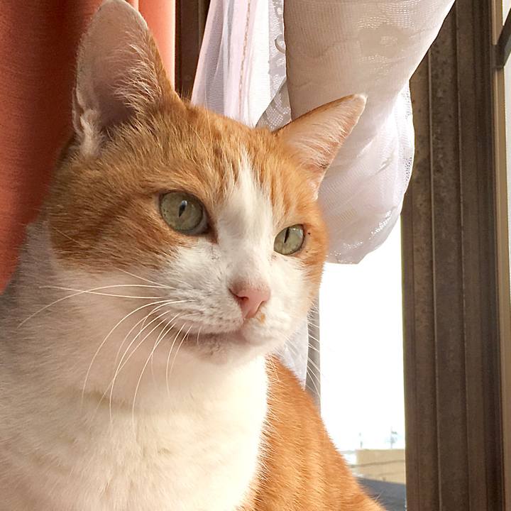 A5f6ddbe 8fbf 4985 aaf8 774f7e0208de 1577171498075