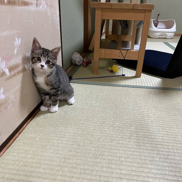 A5f73392 5759 4561 82fb 302f3488fa3c 1688705049191