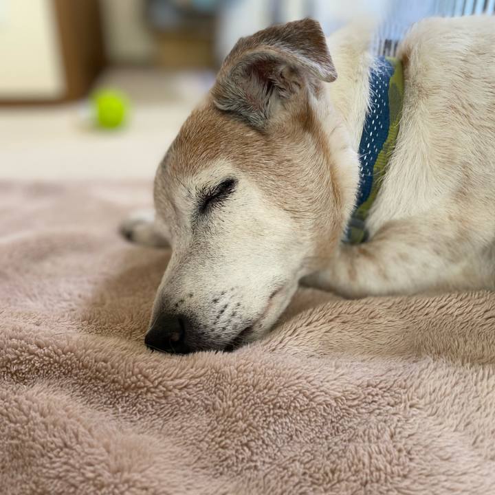 A5f747cf 782e 4821 8962 363360004926 1678512175170