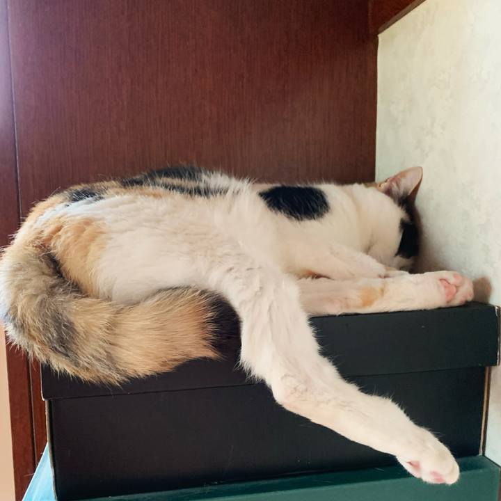 A5f74d56 74da 45c1 aa78 105c55742f96 1599444605398