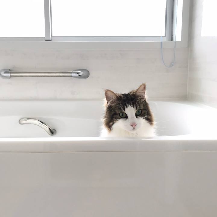 A5f77edc cb93 42c2 b9d5 d7df040b1aa4 1525320615581