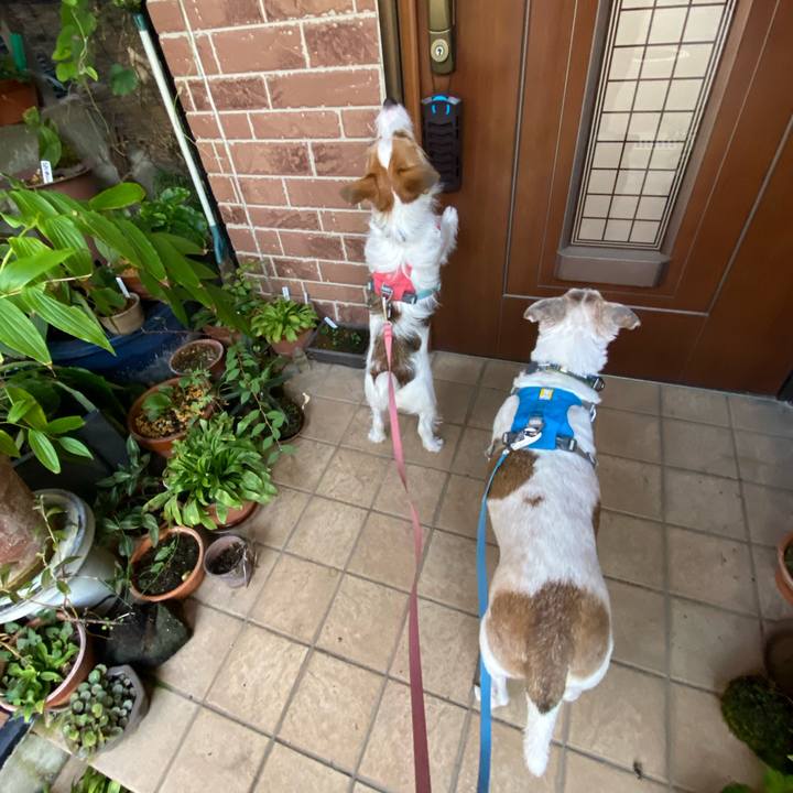 A5f79f41 afe2 4c3d 89ff 8003587f505c 1695510704175