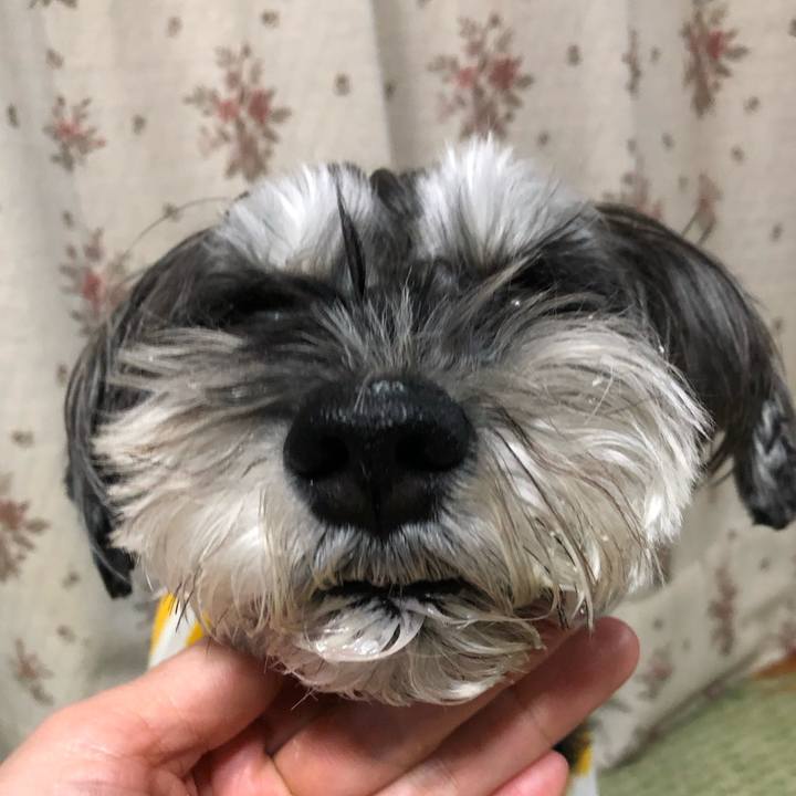 A5f7a5a5 e106 4cfb a4cd cc4e7f31b81a 1704458545859