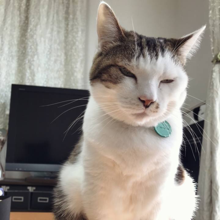 A5f7b192 9b01 4f7b 8610 66ac0702016b 1583120262673