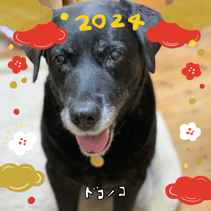 A5f7d32b f6df 4d7d be6f b1a8fe74e165 1704623597941