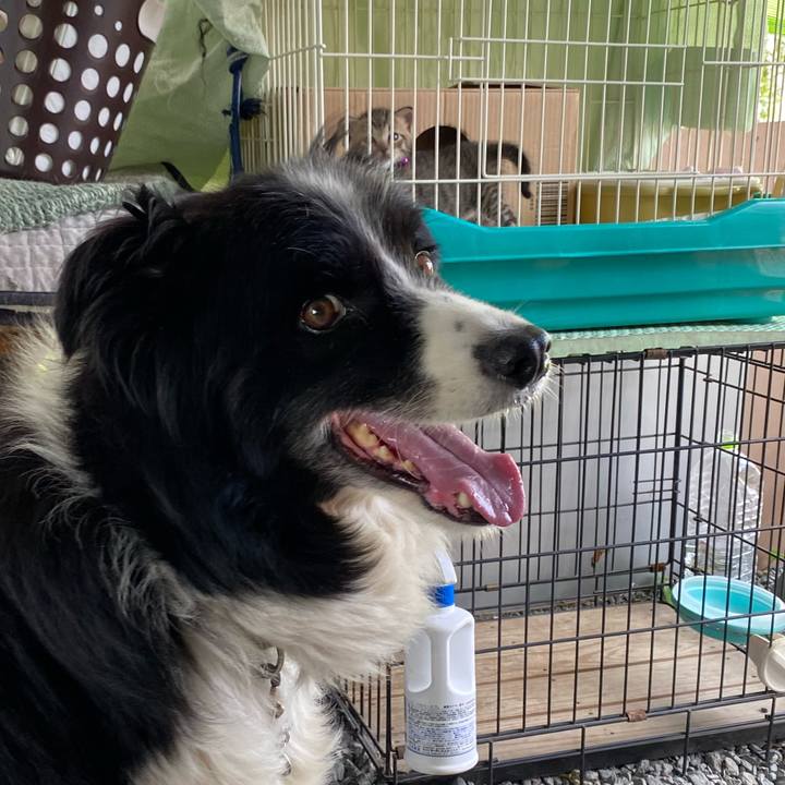 A5f7d796 c91a 45a3 9e79 851ab6cd8f12 1596182605722