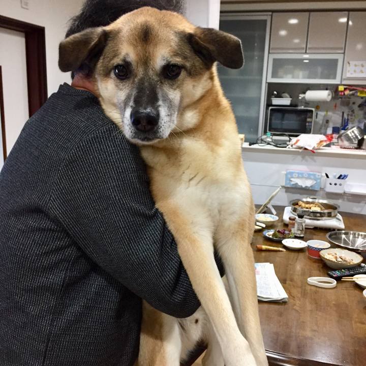 A5f7dc6f c111 4ed6 9b34 4e441a067c46 1545472859125