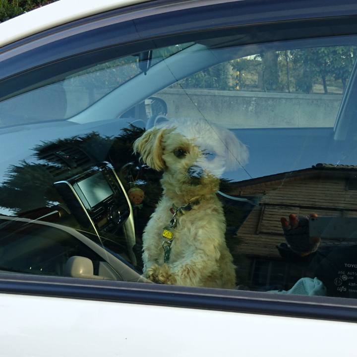 A5f7f2bc 8f77 49d4 b067 b75e910d07ad 1577432792019