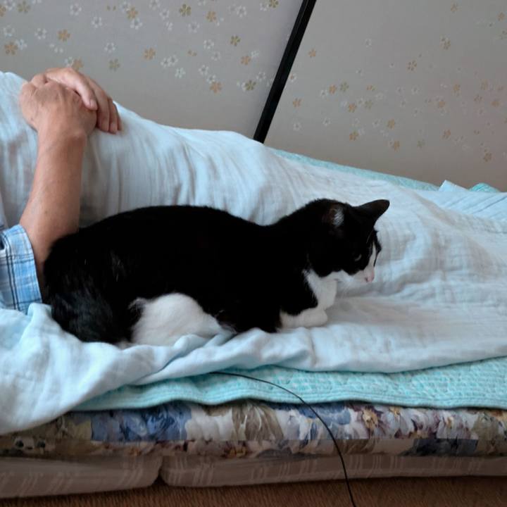 A5f7f588 4aa6 417a 83df 8b8e8e706b4d 1751189685438