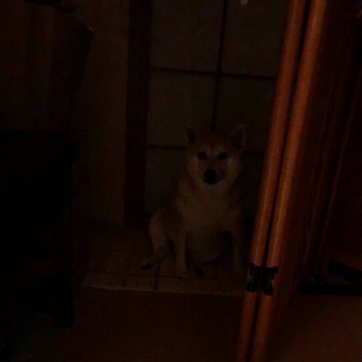 A5f895ea 9195 4baf a73b 517b8da7a0ed 1565348400615