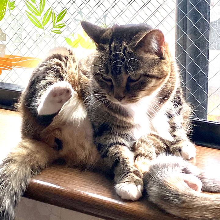 A5f8ebe0 3d4a 4047 9618 cfa45b43ce48 1588830011450