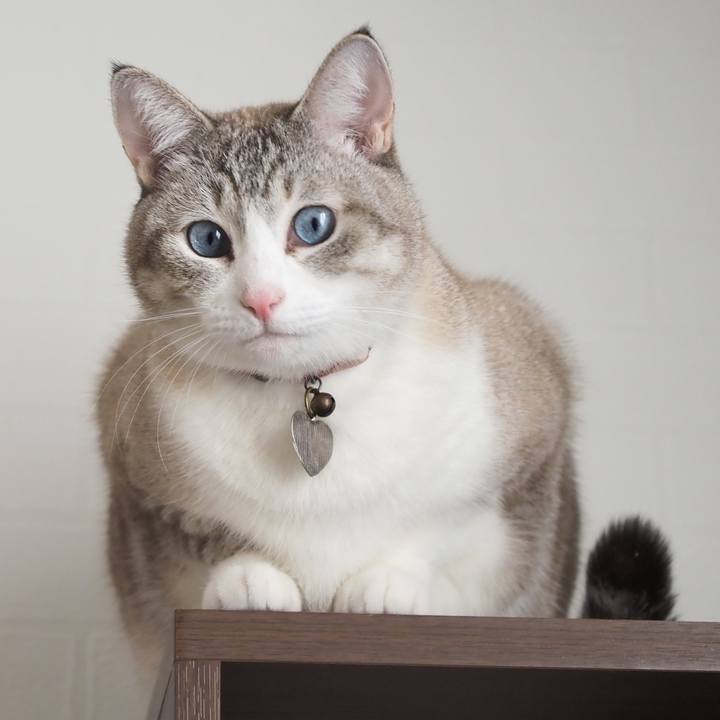 A5f8f159 a741 4677 bc10 5cb883f0a611 1611309399523