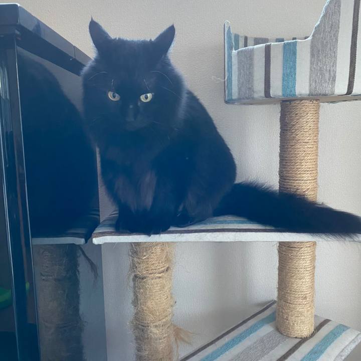 A5f8f382 5a3a 4b40 a0a8 2d372137abb9 1602239547693