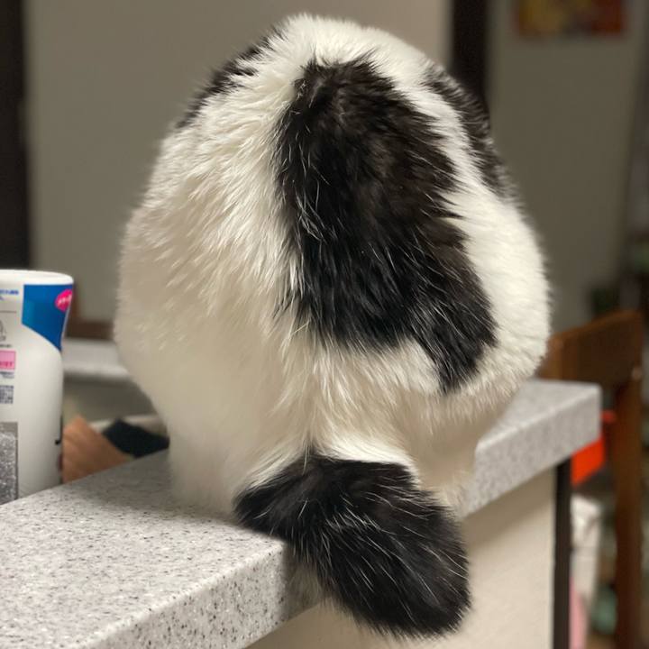 A5f92cc3 4245 45b9 9755 ed24d1fe2e5f 1698244091983