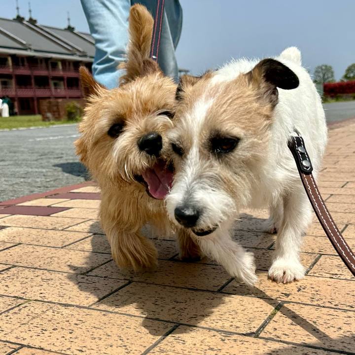 A5f93431 3a7a 435a bce7 4c382a8c9060 1745120839190