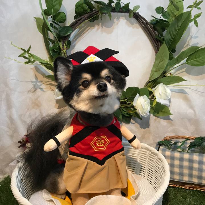 A5f9584f 1e87 439d a743 c03dc5a20f33 1565592368117