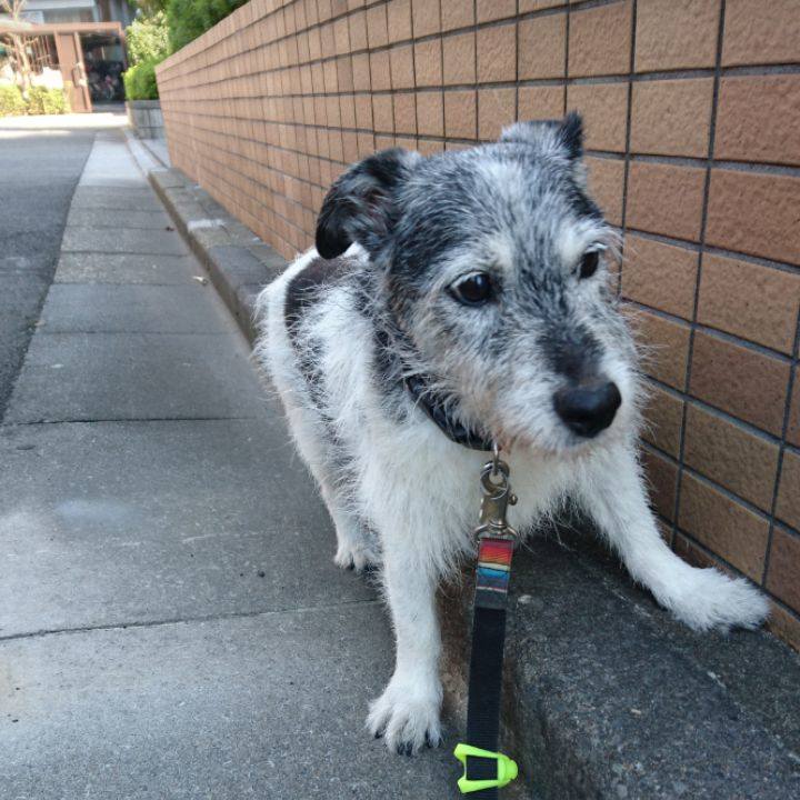 A5f95f77 f0f3 4bd9 8d1c 156ac40855fc 1539128695971