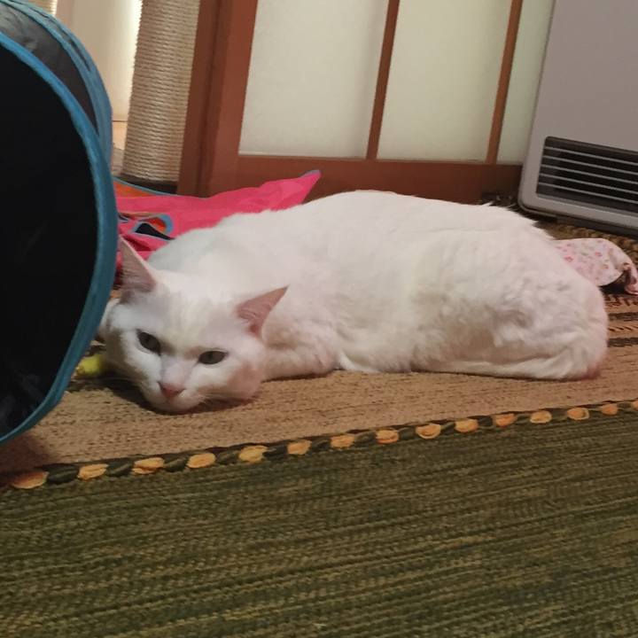 A5f99e34 5188 4e49 9228 94eeeac20fdd 1519193002434