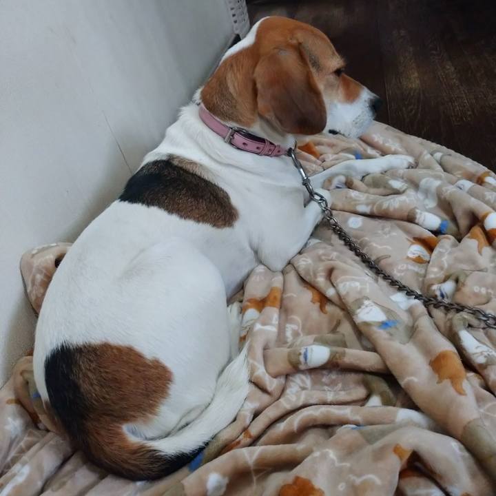 A5f9a990 1c41 46c8 9cc3 1360b0e81f3e 1601446871739